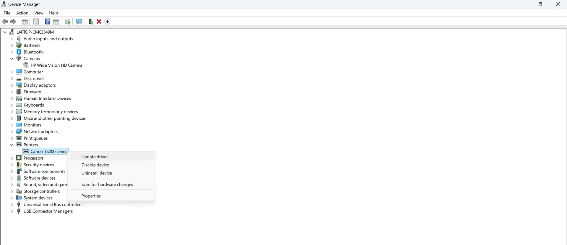 Update Printer Driver Through Device Manager